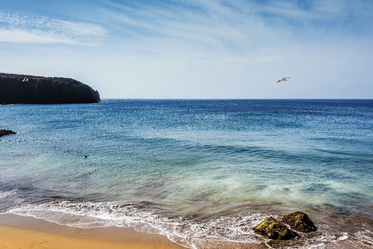 Blick auf ruhige Bucht mit Sandstrand, klar blauem Meer, fliegender Möwe und Felsküste im Hintergrund.